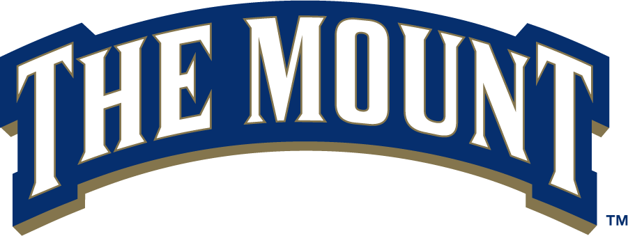 Mount St. Marys Mountaineers 2006-2016 Wordmark Logo v2 iron on transfers for T-shirts